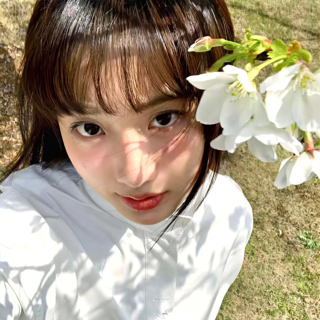 树下藏银